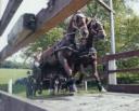 Bridge Crossing