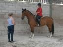 Riding Lesson