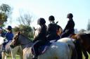 pony-club-gymkhana.jpg